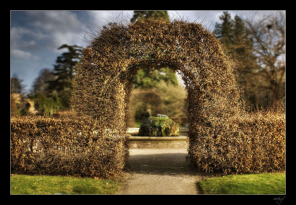 Ab durch die Hecke