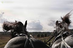 Ab durch die Heide