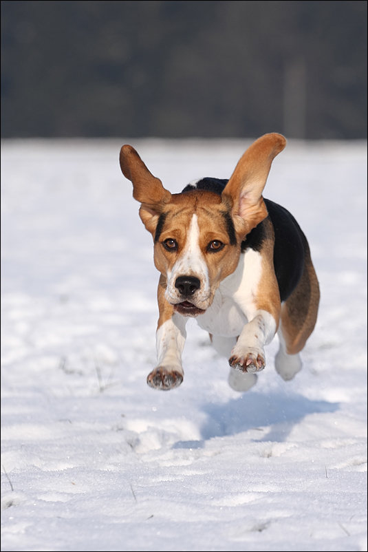 Ab durch die Mitte! / Winterstimmung o9