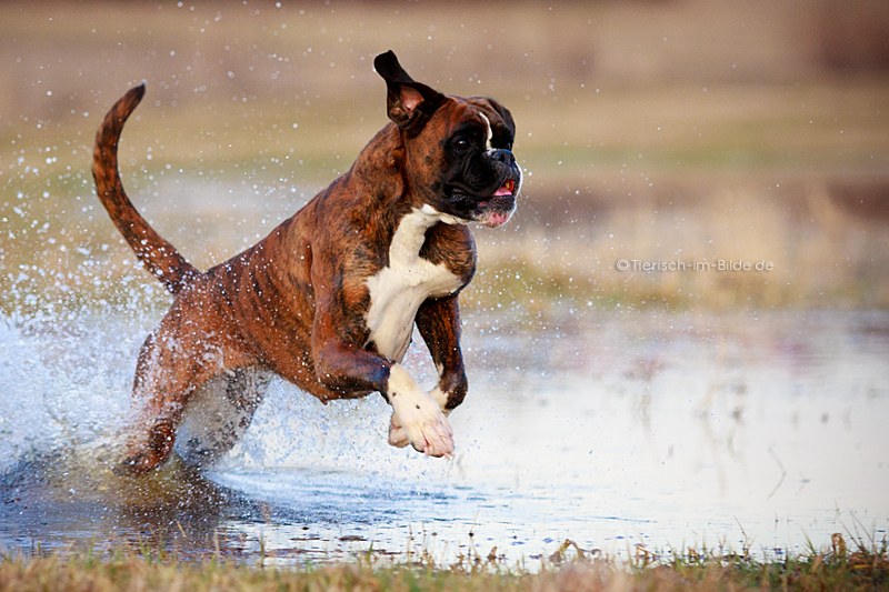 Ab durchs Wasser