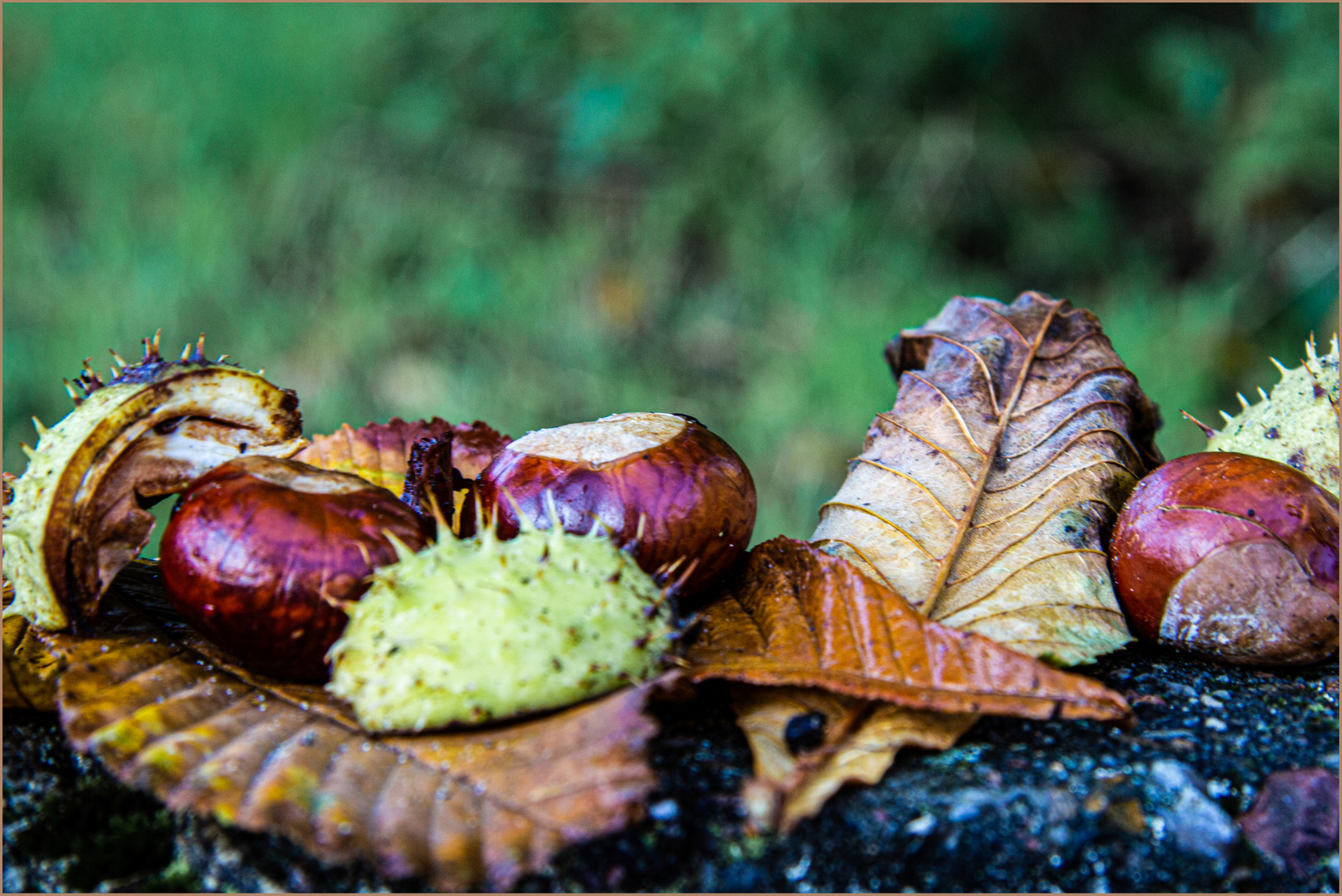 "Ab-Fall-Produkte" der Natur ...