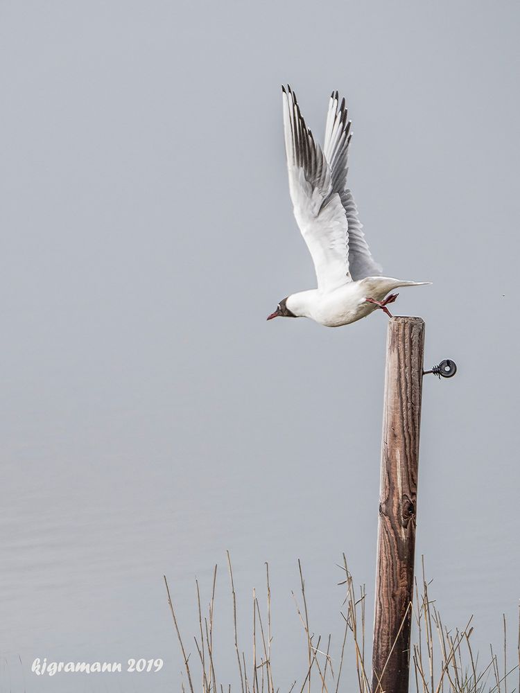 ab-flug....