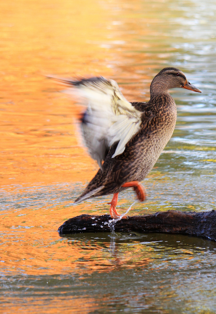 "Ab gehts!"