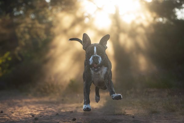 Ab geht´s, in die neue Woche!
