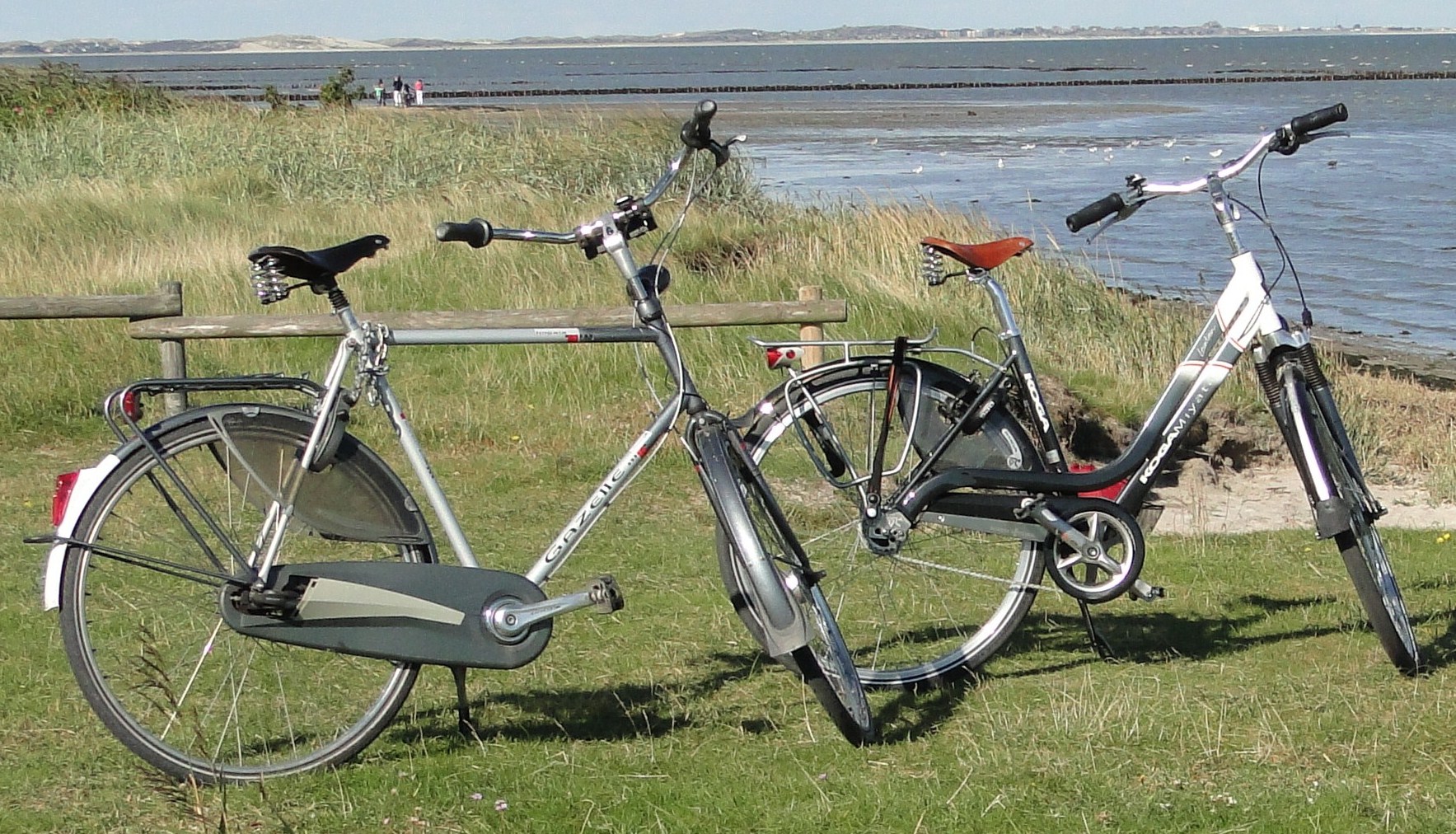 Ab hier mußten wir schwimmen