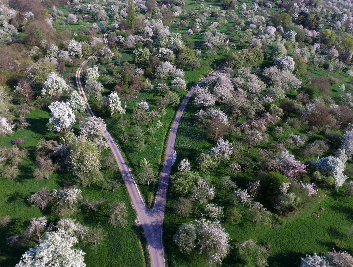 ab in den Frühling