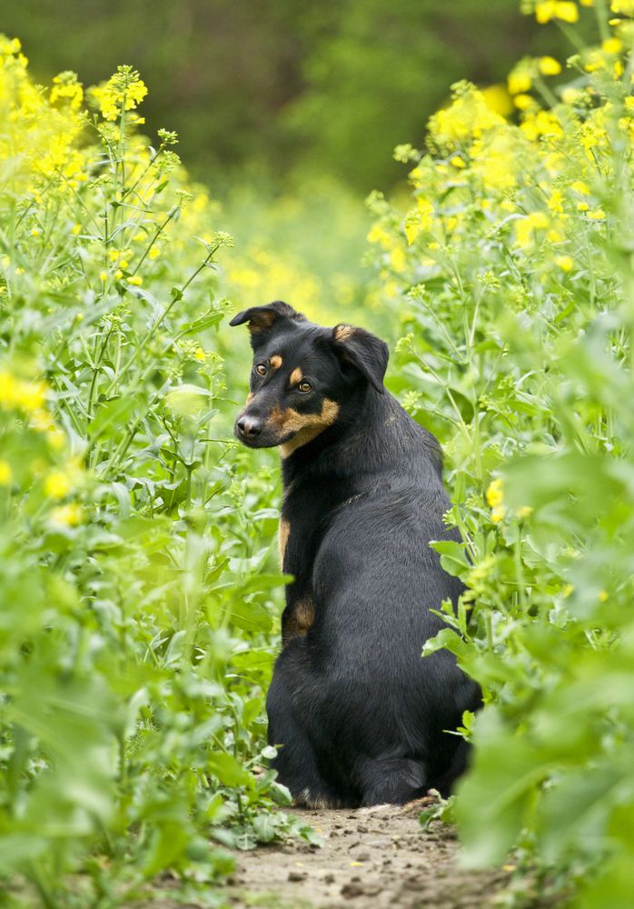 Ab in den Frühling!