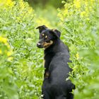 Ab in den Frühling!