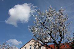 ab in den Frühling