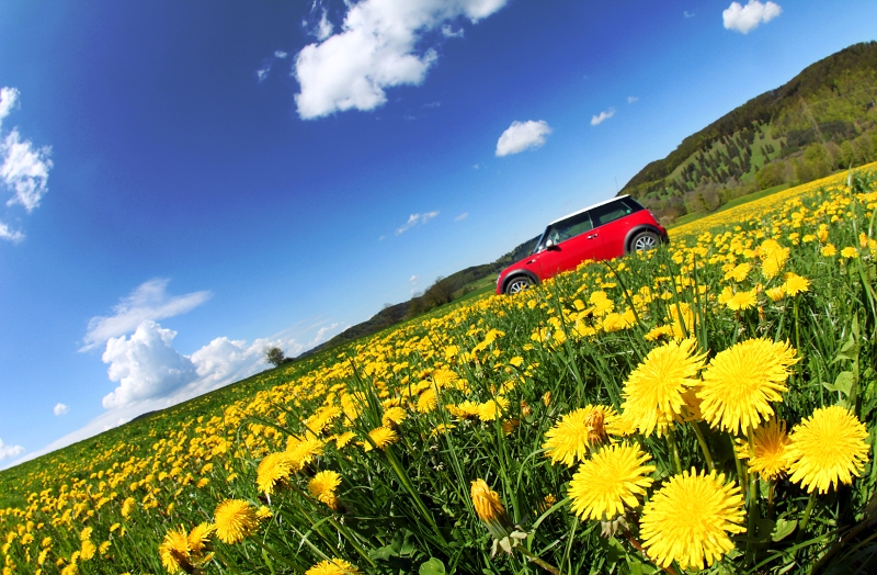 ab in den Frühling...