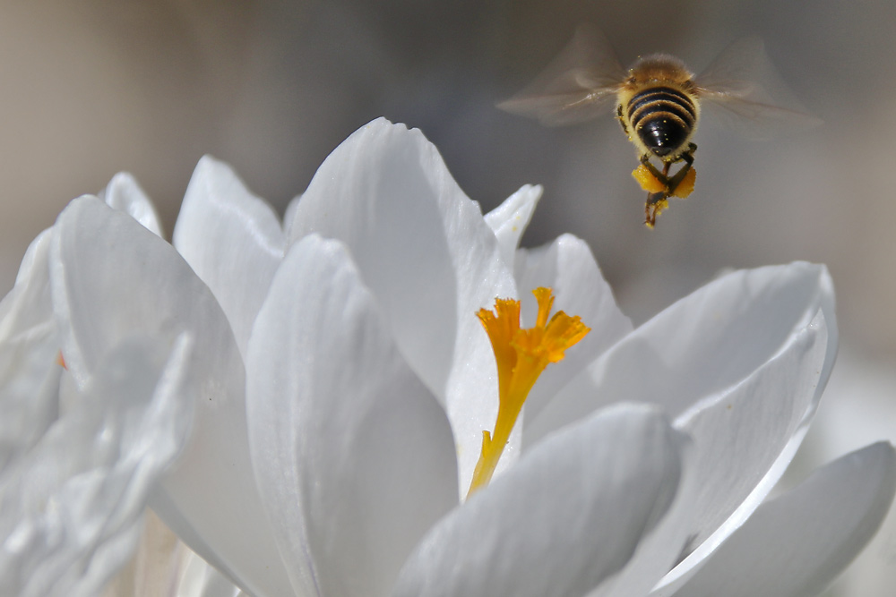 ab in den Frühling