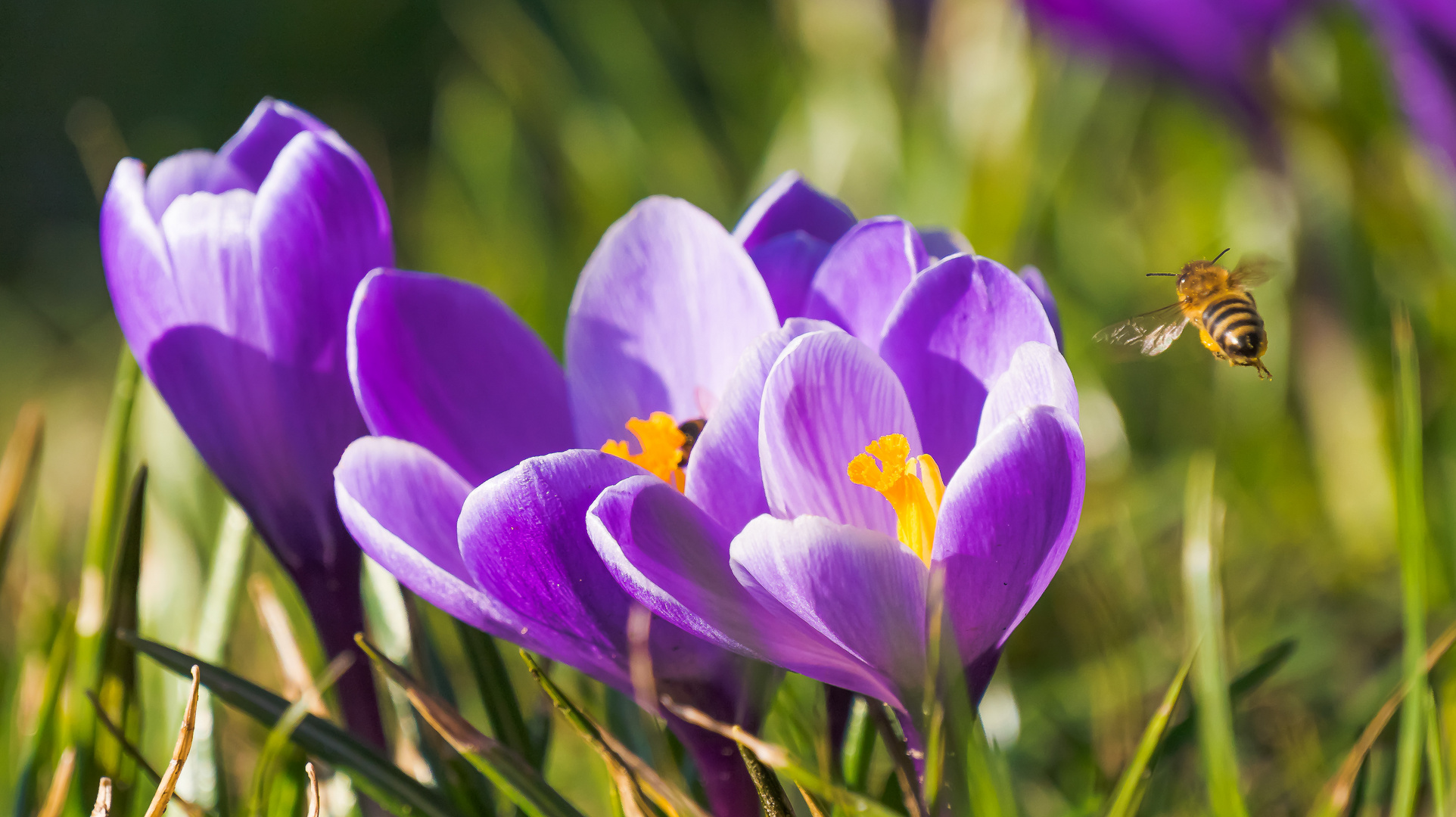 Ab in den Frühling