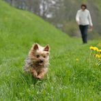 Ab in den Frühling...