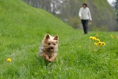 Ab in den Frühling...