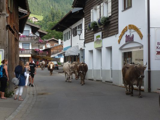 Ab in den Stall.......