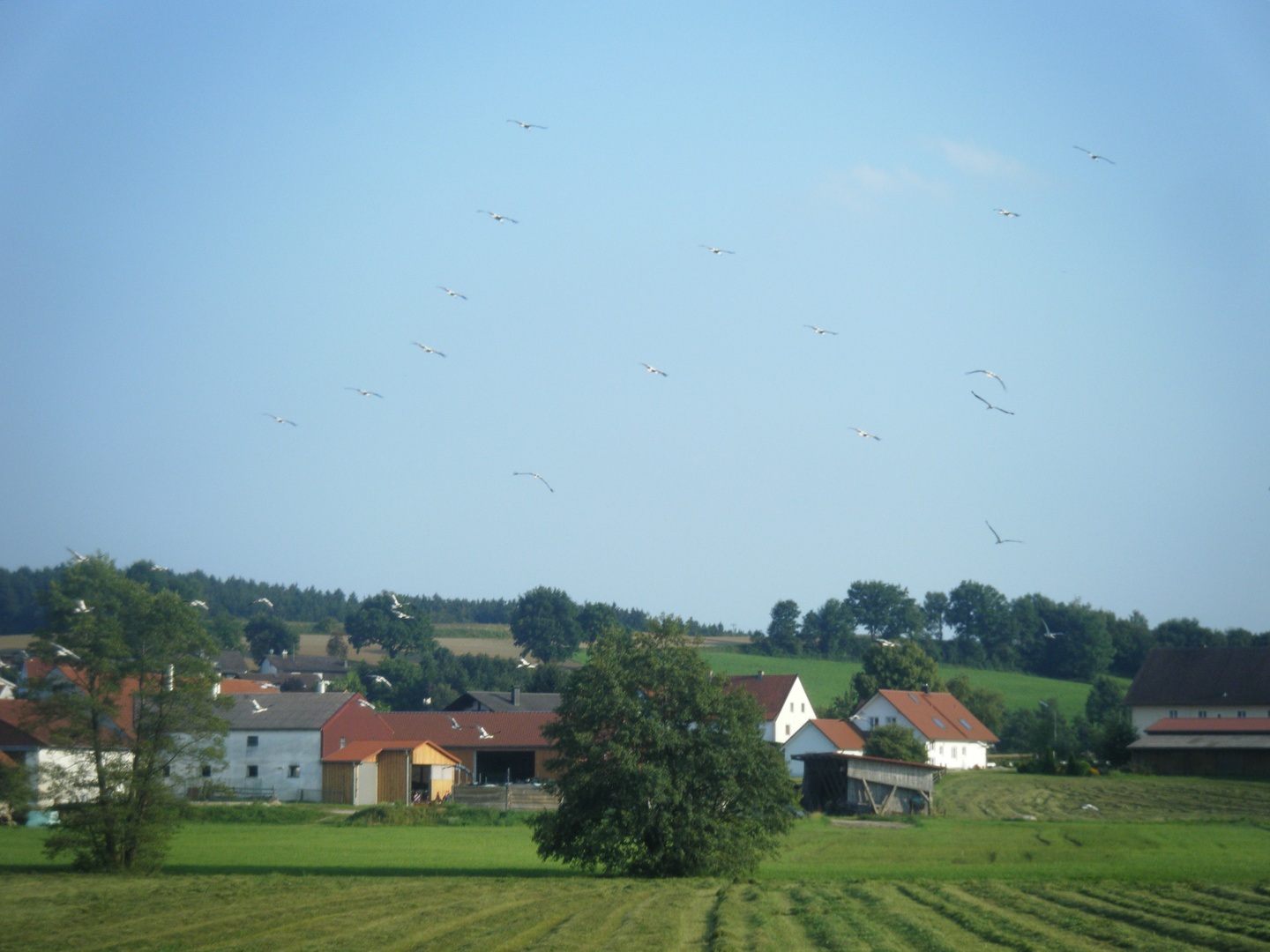 Ab in den Süden 2