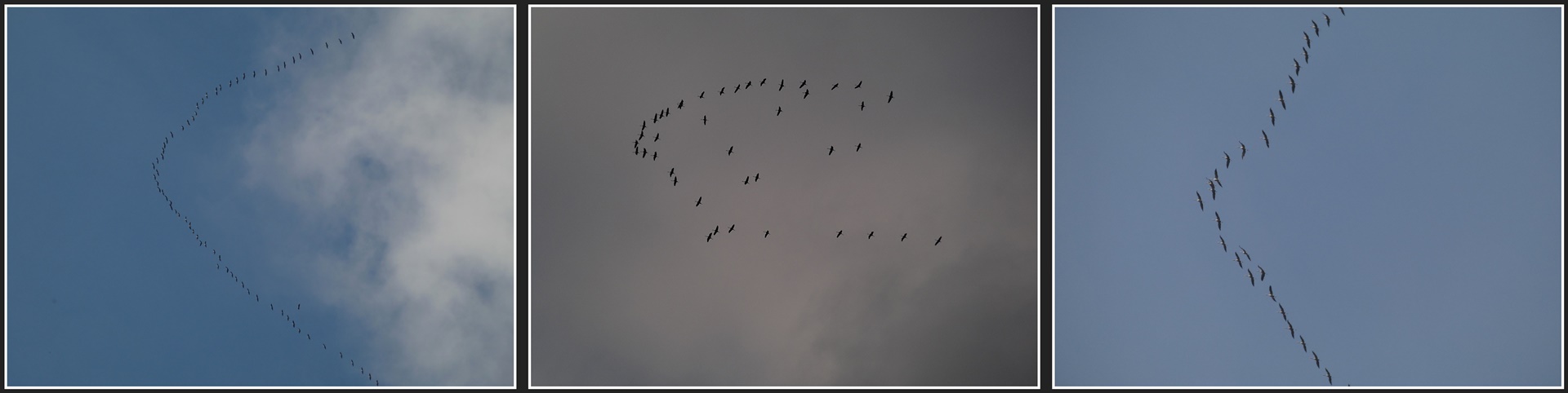 Ab in den Süden ! Guten Flug !