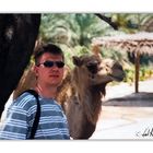 Ab in den Urlaub ! Dubai ruft !