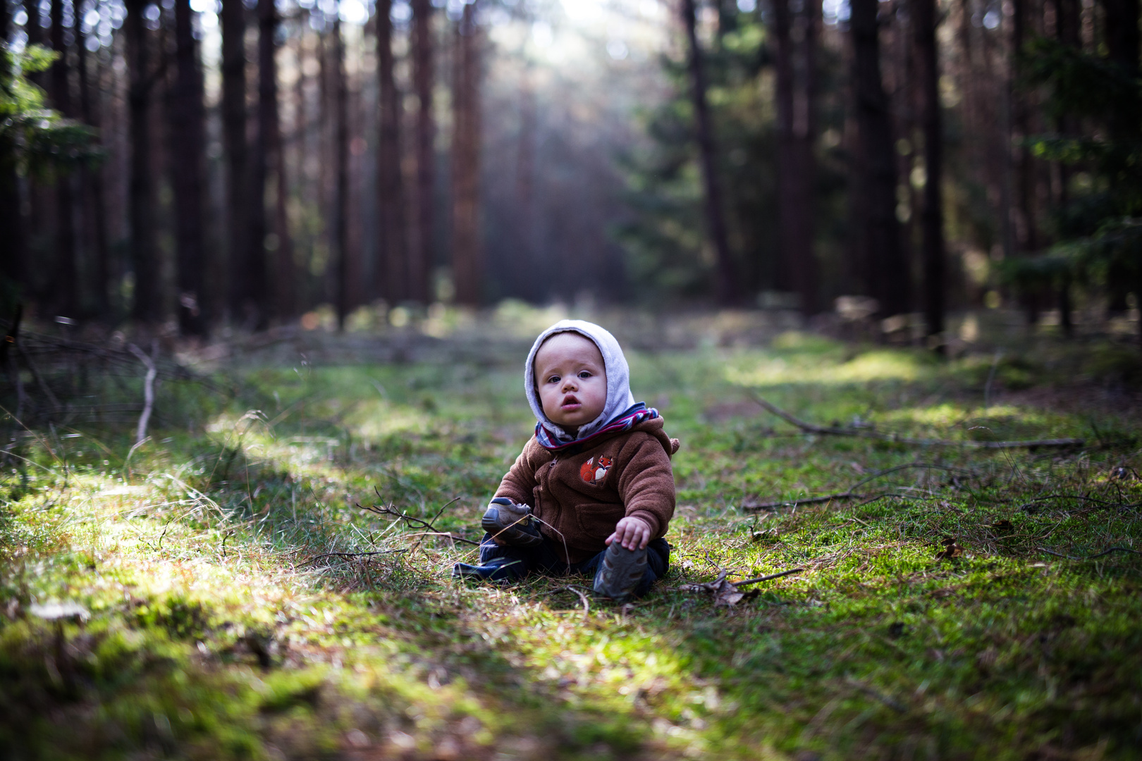 Ab in den Wald