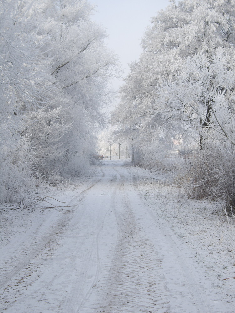 Ab in den Winter