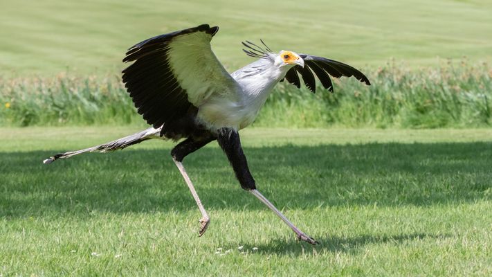 Ab in den wohlverdienten Feierabend