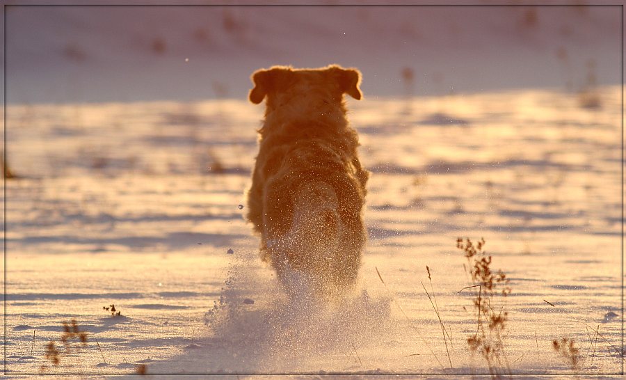 ab in die Abendsonne