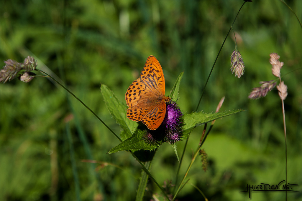 ab in die Berge 1