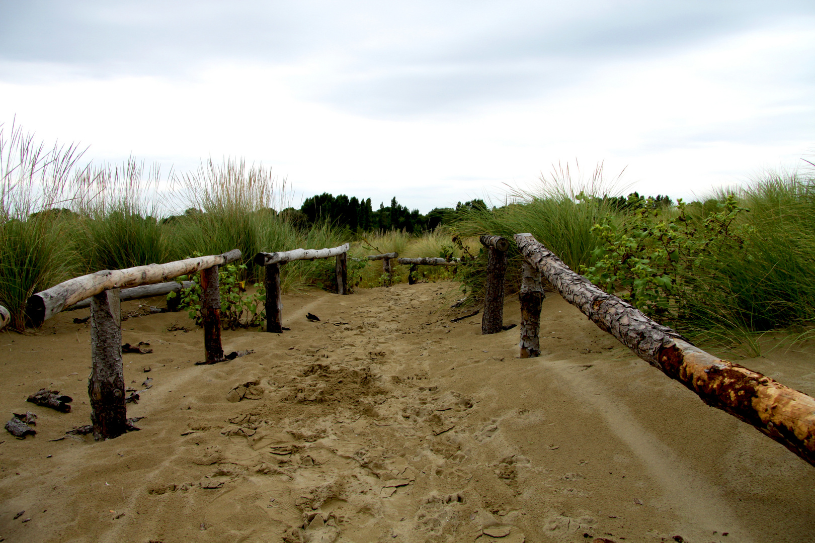 Ab in die Dünen