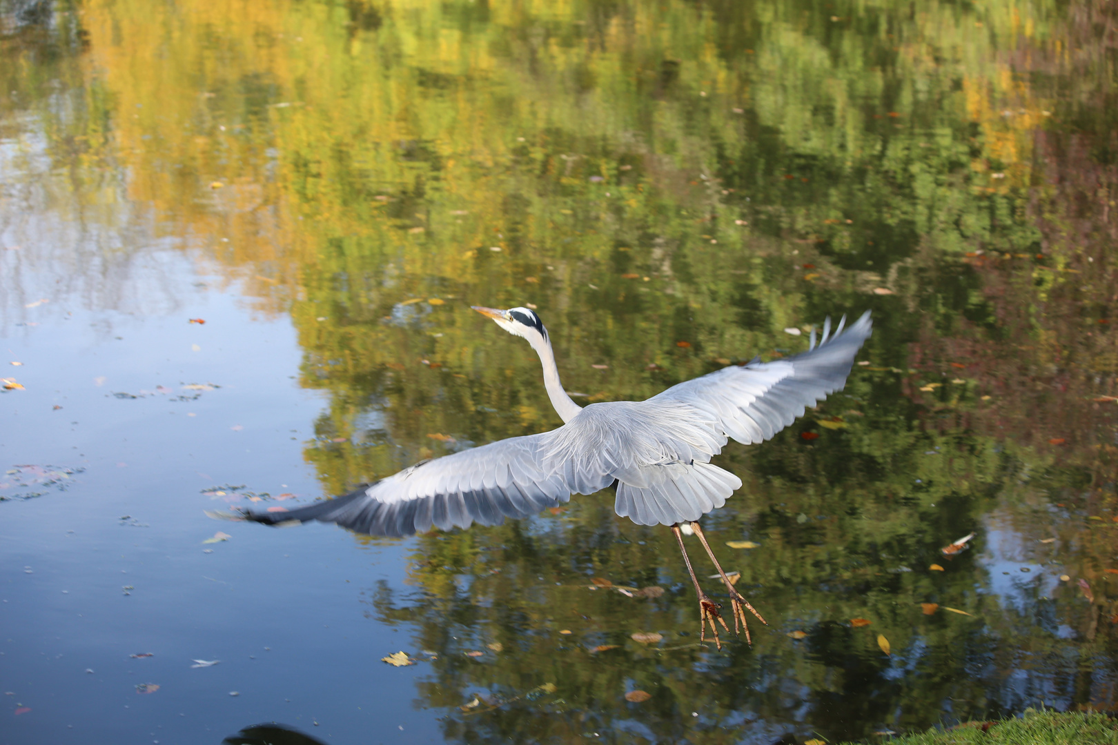 Ab in die Herbstsonne