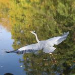 Ab in die Herbstsonne