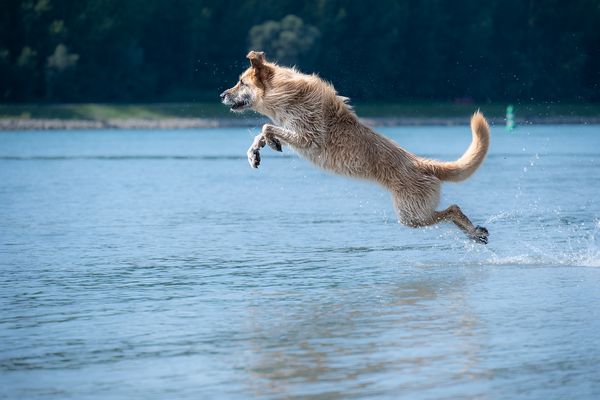 Ab in die neue Woche!