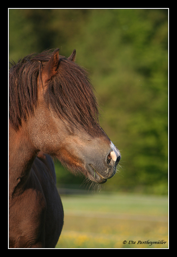 Ab in die Sommerfrische