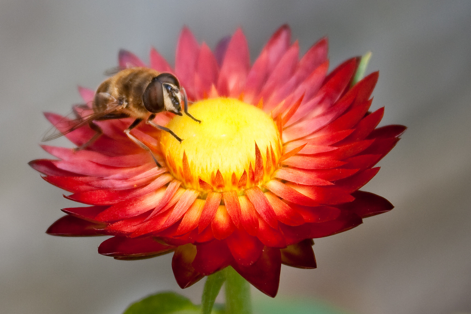 Ab in die Sonne