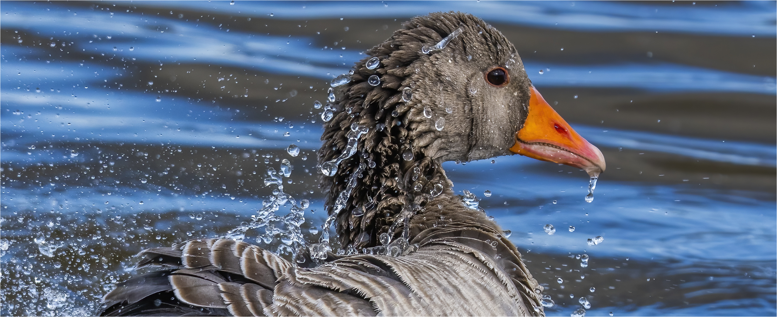 … Ab in die Wanne – Ostern steht vor der Tür …