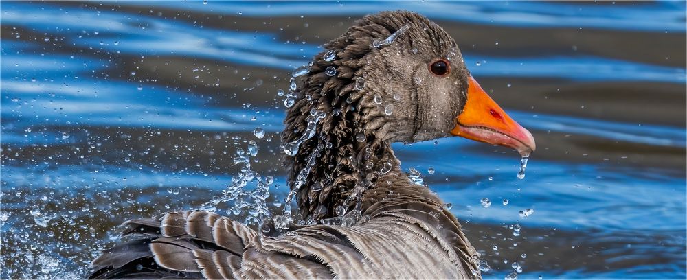 … Ab in die Wanne – Ostern steht vor der Tür …