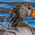 … Ab in die Wanne – Ostern steht vor der Tür …