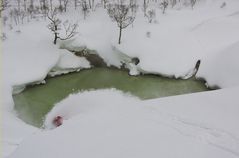 ab in onsen