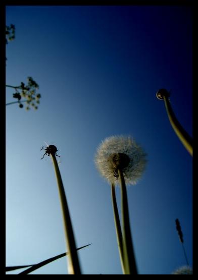 Ab in´s Blaue