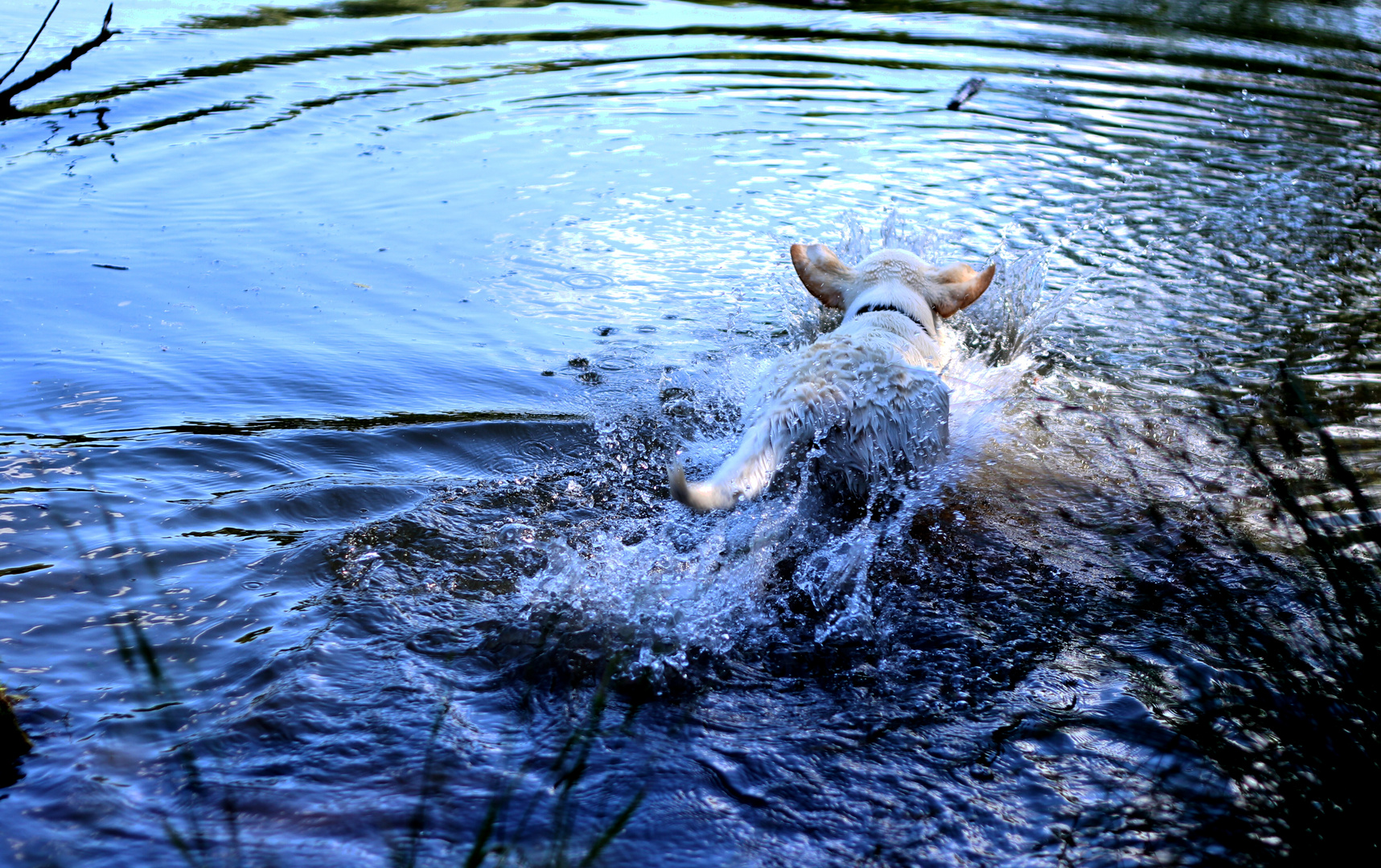 ab ins Wasser...