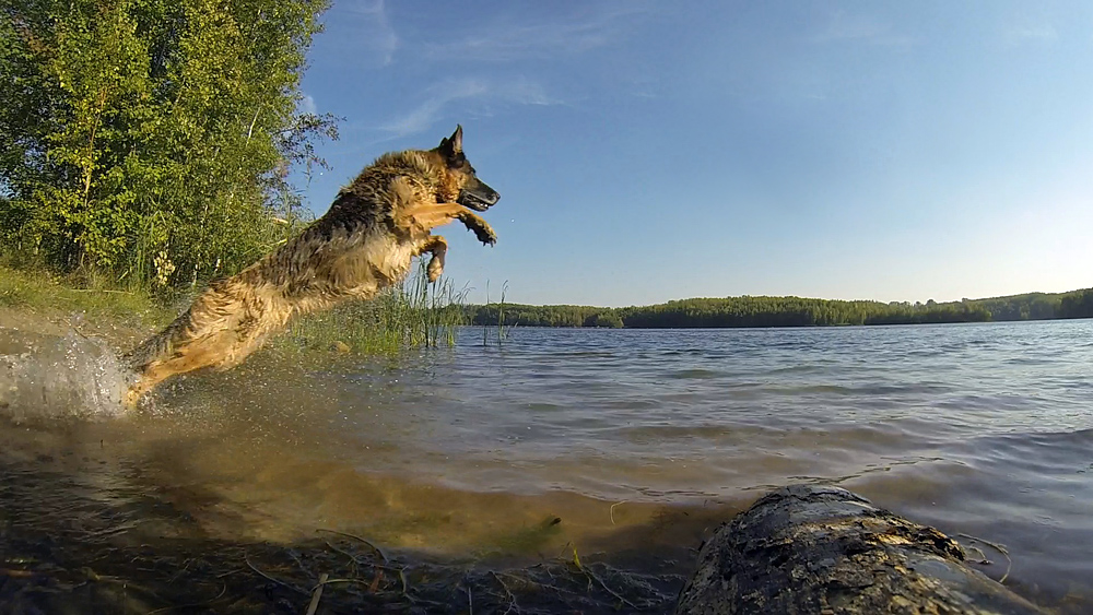 ab ins wasser