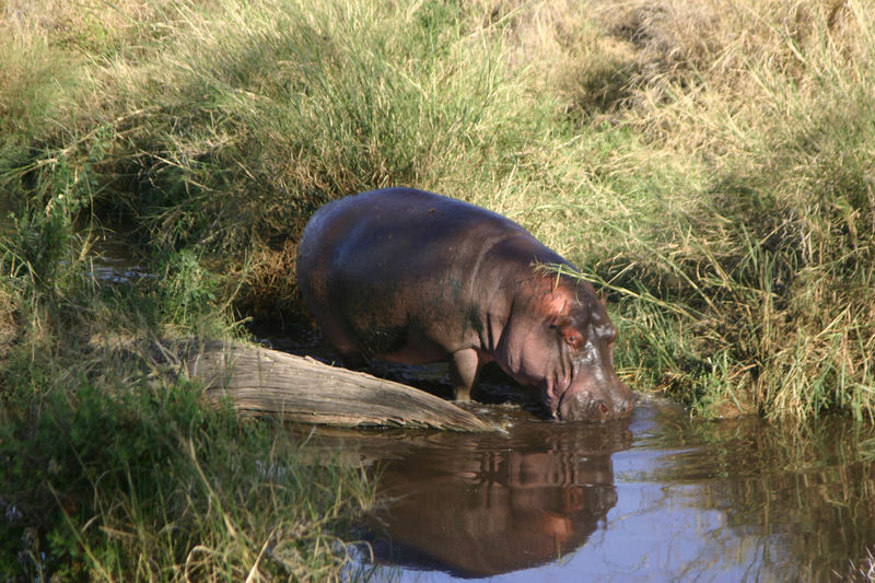 Ab ins Wasser...