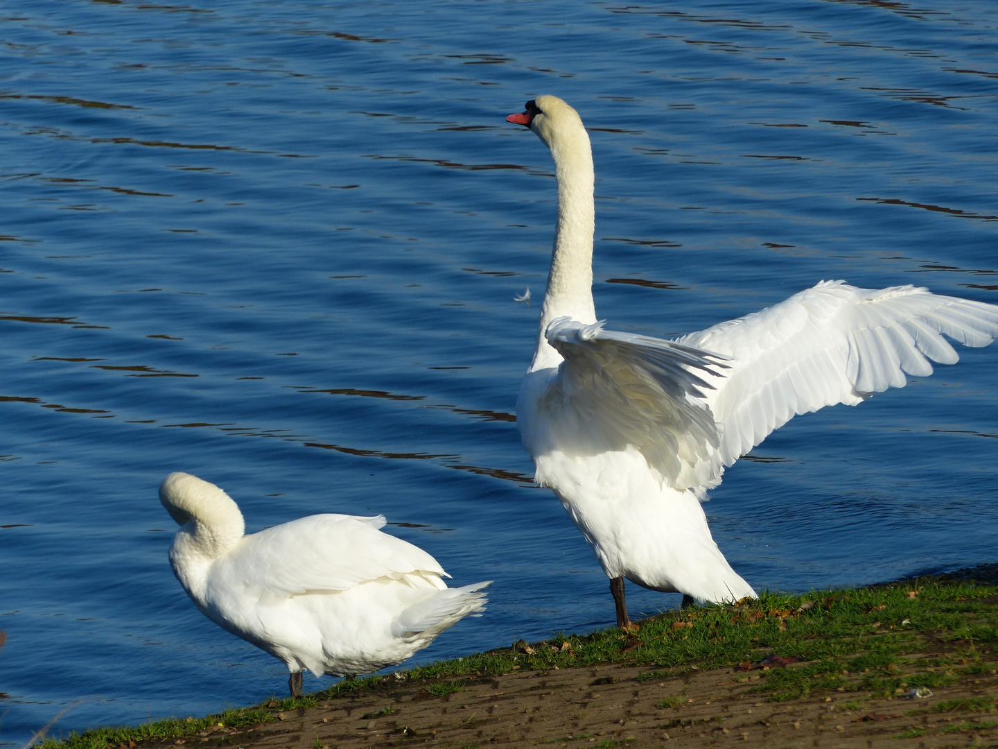 Ab, ins Wasser !