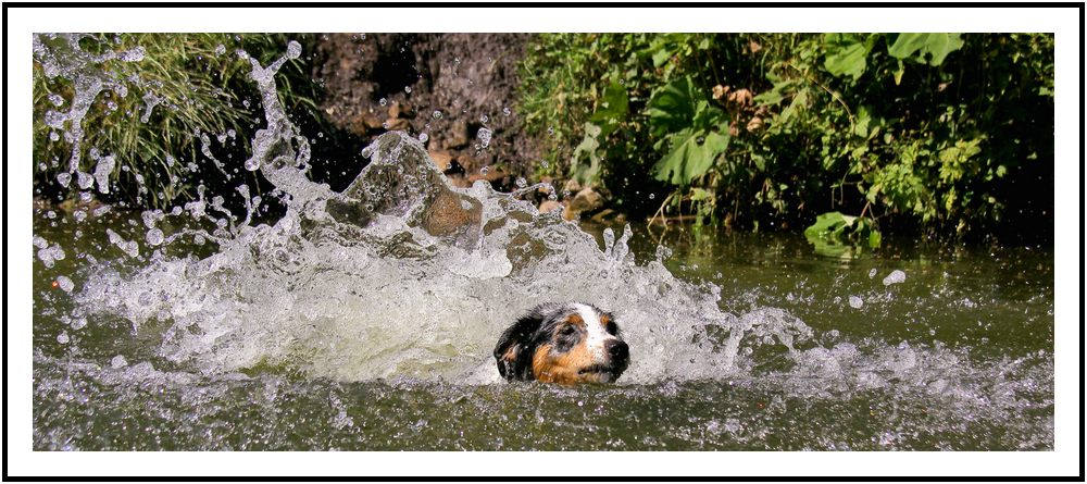 Ab ins Wasser