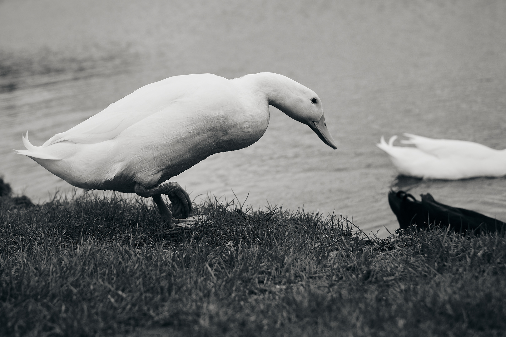 ab ins Wasser