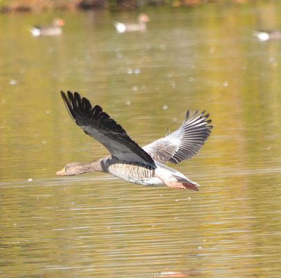 AB INS WOCHENENDE!!!