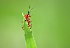 Ab jetzt ist fliegen angesagt :-)