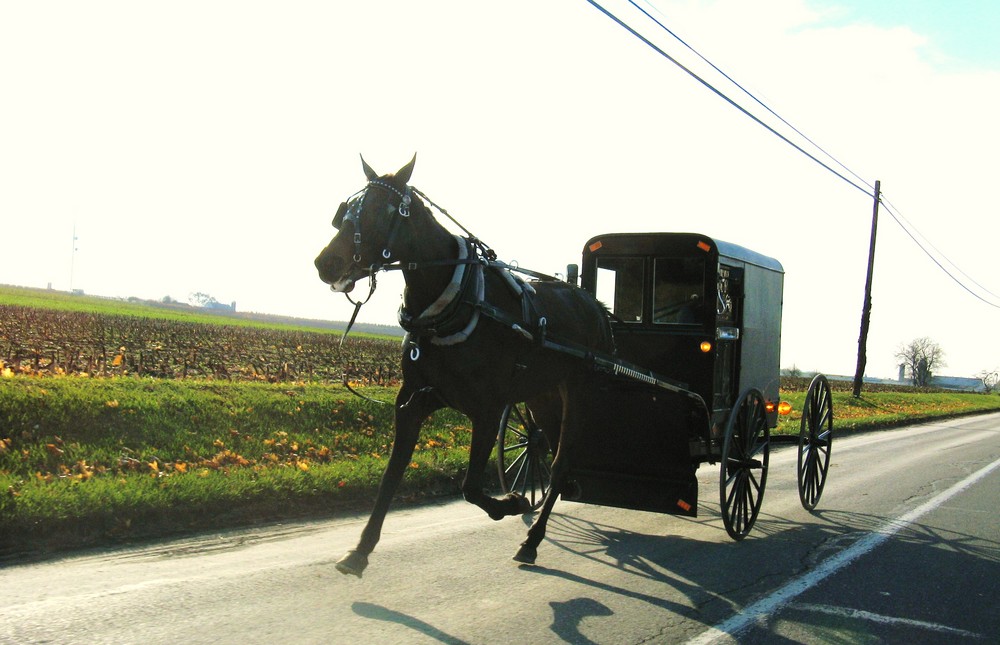 ab nachhause....Amish Kutsche in Lancaster County