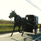 ab nachhause....Amish Kutsche in Lancaster County