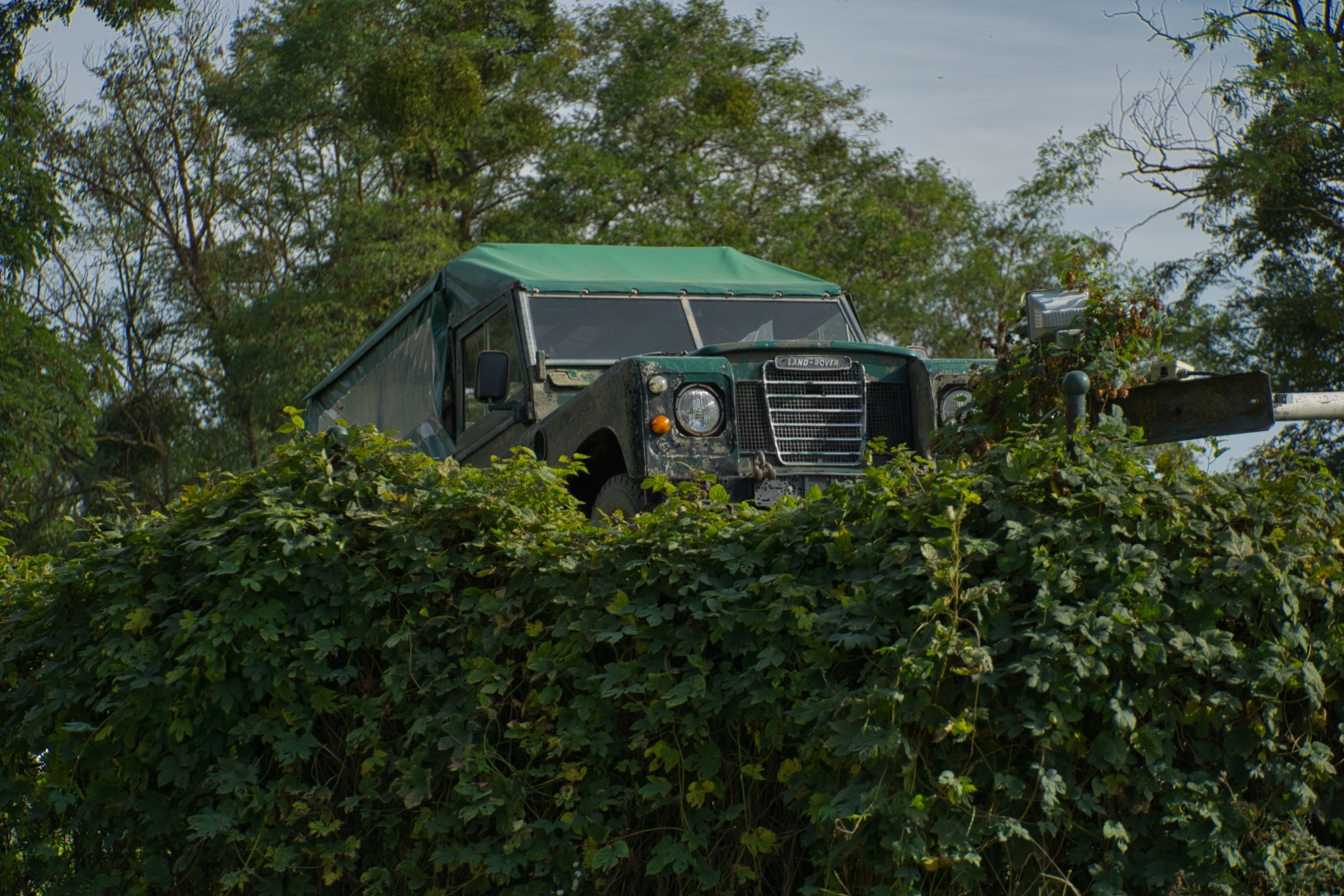 Ab über die Hecke