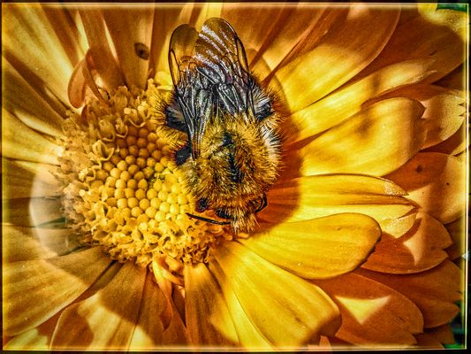 AB UND ZU VERIRRT SICH.....